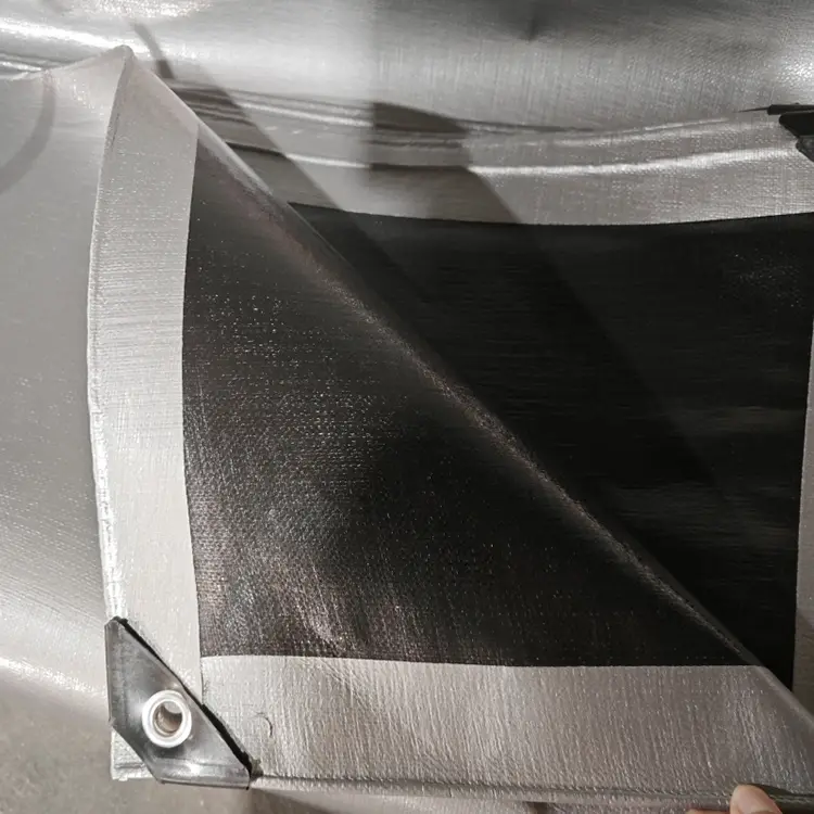 الفضة السوداء 240 فيرجن بي.