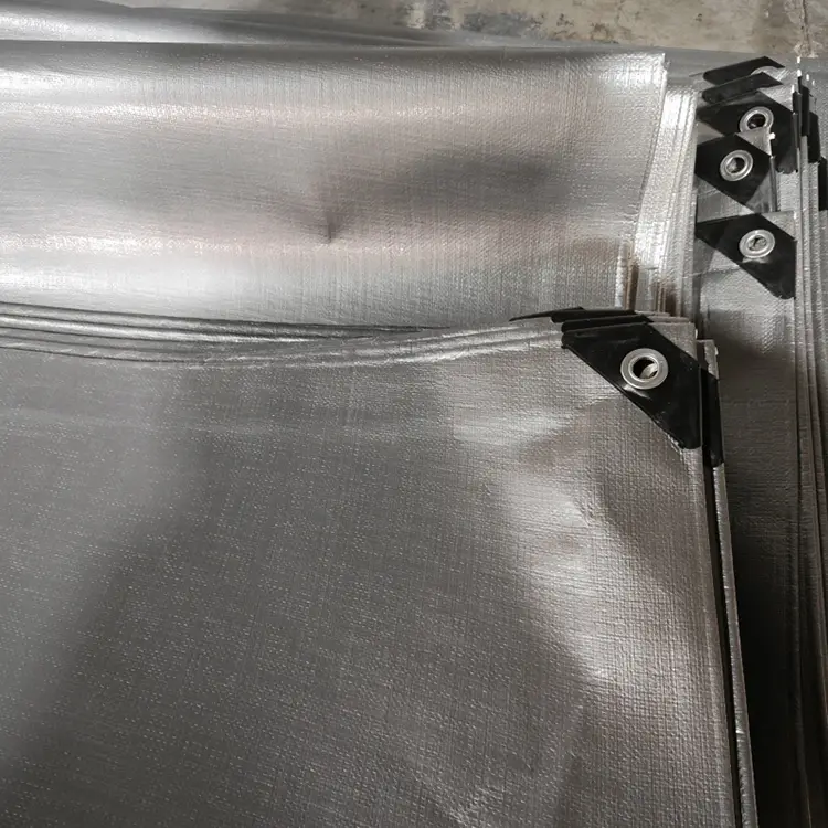 الفضة السوداء 240 فيرجن بي.