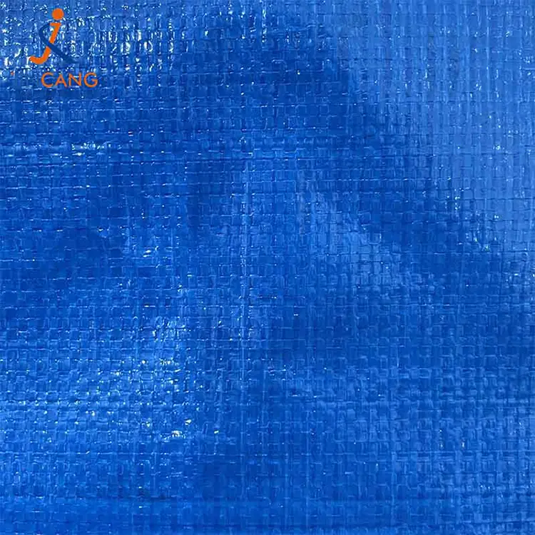 السوبر ماركت قابلة للطي PP المنسوجة حقيبة متحركة