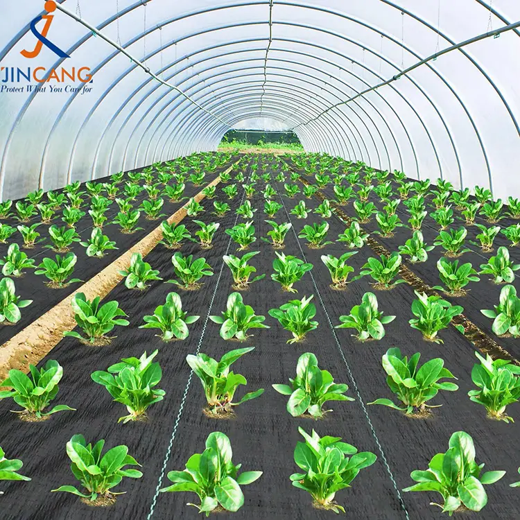 PP حصيرة الأعشاب المنسوجة