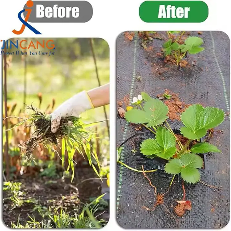 PP حصيرة الأعشاب المنسوجة