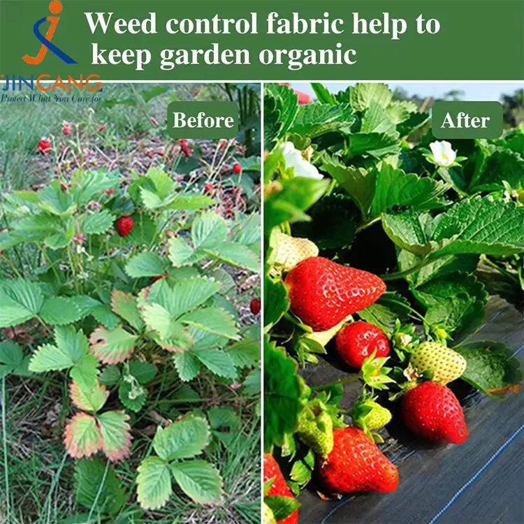 حصيرة نسيج التحكم في الأعشاب