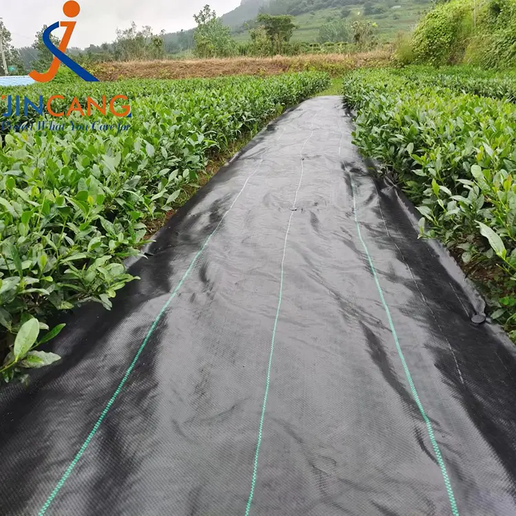 حصيرة نسيج التحكم في الأعشاب