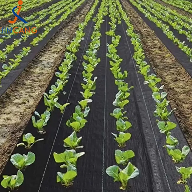 حصيرة الحشائش متينة